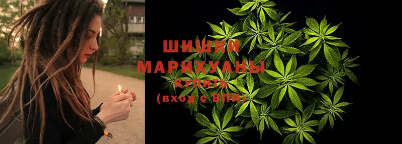 Шишки марихуана OG Kush  закладки  Цоци-Юрт 